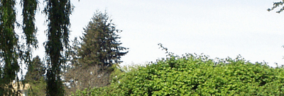 Protección ambiental
